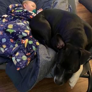 Meet your Posher, Sean